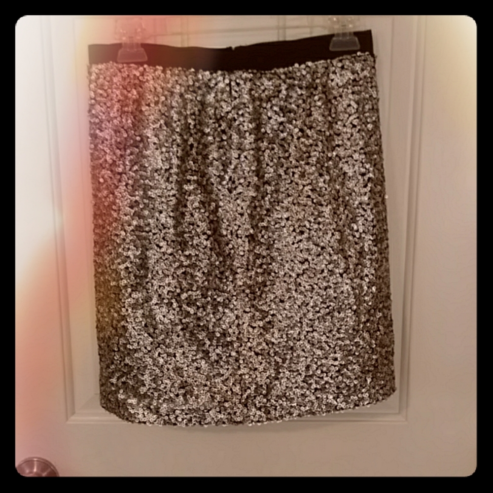 Ann Taylor Loft sequined skirt.